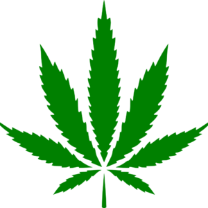 Mens White T-Shirt Tee Top Green Cannabis Leaf Logo Ganja Stoner XS Small 2XL