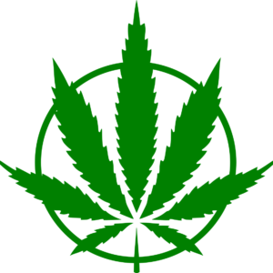 Mens White T-Shirt Tee Top Cannabis Leaf Circle Green Logo Ganja Stoner XS S 2XL
