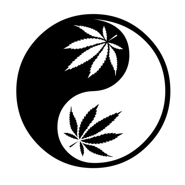 yin yang black logo