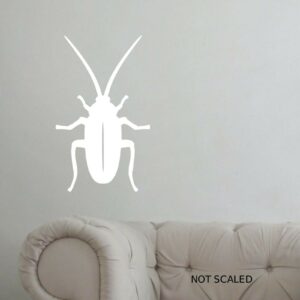 Cockroach Wall Artwork Sticker Animal Bug Insect Kid's Room A4 Sized Decal - WHITE